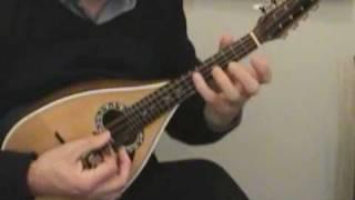 Diferencias by Victor Kioulaphides performed on a new Roman Concert Mandolin after Luigi Embergher