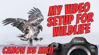 Canon R5 MKII - Wildlife Video Settings for the Best Slow-Mo Footage!