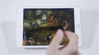 SECOND CANVAS MAURITSHUIS - SPANISH VERSION