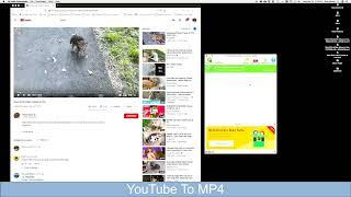 How to use 4K video downloader | YouTube to Mp4