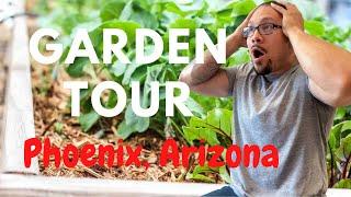 Living in Phoenix Arizona | Zone 9b Garden Tour