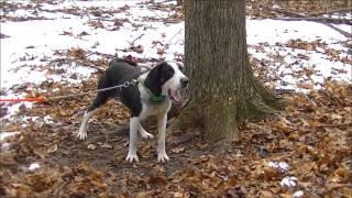 Stark Outdoors Combo Hunt with Sheppy and Jessi