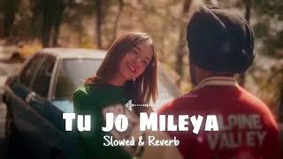 JUSS - Tu Jo Mileya (Slowed & Reverb) MixSingh | New Punjabi Romantic Song 2024 | Mohib Beats