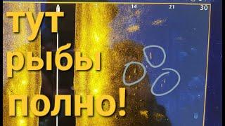 Мощные поклевки "отдай спиннинг"! Крупные щуки сходят с ума!