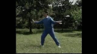 ️ Тайцзыцуань Чэнь форма 24 от Фэн Чжицян | Chen Style Tai Chi 24 form  Feng Zhiqiang 冯志强