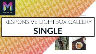 Responsive Lightbox Gallery Single | Update 1.5 | Adobe Muse CC | Muse For You