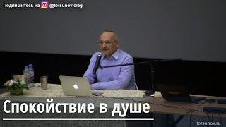 Торсунов О.Г.  Спокойствие в душе