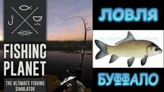 Fishing planet. ловля буффало на озере лоун стар