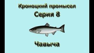 Русская Рыбалка 3.99 (Russian Fishing) Кроноцкий промысел 8 - Чавыча