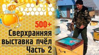 500+ Сверхранняя выставка пчёл. Часть 2.