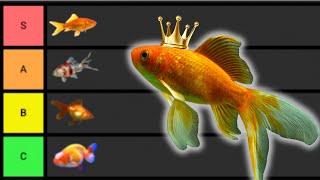 Ranking The BEST Goldfish Breeds