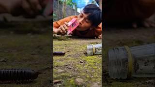 Creative idea, Replace an empty bottle with a carton of milk for a thirsty millipede #millipede