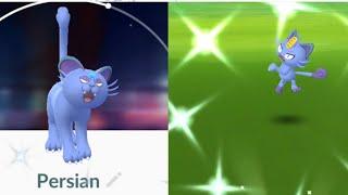 Evolución de MEOWTH de ALOLA SHINY  a PERSIAN de ALOLA SHINY en POKEMON GO