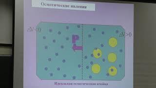 Носов А. М. - Физиология растений I - Водный обмен растений