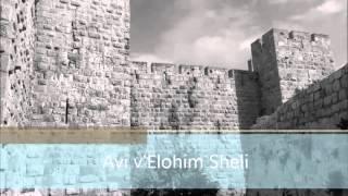 FOZ 8 Avi v'Elohim Sheli