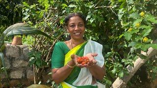 Jambakai juice!!& Pisa செய்வது இவ்வளவு ஈஸியா!!