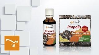 Propolisul ApiLand - un antibiotic natural mereu la îndemână!