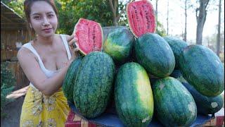 Corn roasted with watermelon cook recipe and eat - Amazing cooking