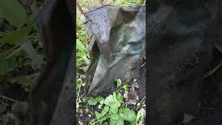 Доспехи медного рыцаря