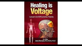Healing is Voltage    The Physics of Emotions  EU2017 Jerry Tennant