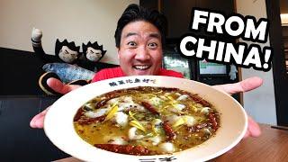 Trying China's #1 SICHUAN FISH Dish! Over 20 Million Sold Every Year!