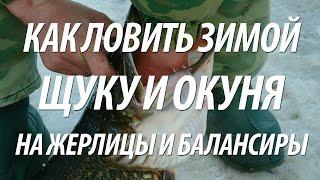 ЗИМНЯЯ РЫБАЛКА ПО ПЕРВОМУ ЛЬДУ. ЛОВЛЯ ЩУКИ И ОКУНЯ НА БАЛАНСИР И ЖЕРЛИЦЫ