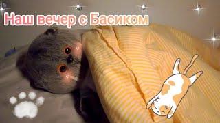 #басик #басики #влог Вечер с котом Басиком | Новый герой на канале