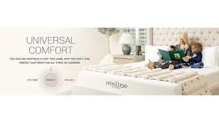 Modway Aveline - Memory Foam Twin Mattress Know How