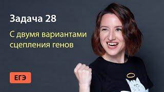 Задача 28 с двумя вариантами сцепления генов из ЕГЭ по биологии | ЕГЭ-2025 по биологии