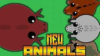 ALL NEW DINOSAUR BIOME!!! TROLLING!!! - HYPER MATTERS