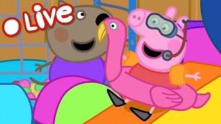  PEPPA PIG TALES LIVE  BRAND NEW PEPPA PIG TALES  EPISODES LIVE 24/7