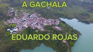 A GACHALA EDUARDO ROJAS #viral #musica #musicacampesina #guavio #gachala