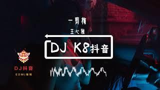 "xue hua piao piao"  DJ remix