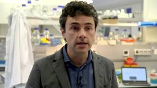 53 genes responsible for kidney functionality discovered