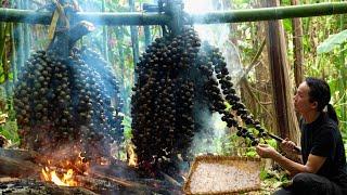 The Secret of Wild Palm Fruit – A Gift from the Mountains to Traditional Food