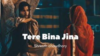 Tere Bina Jina | Shresth chaudhary | Official song | feel the music| Use headphones