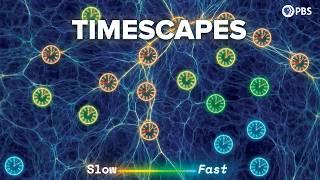 Does Timescapes DISPROVE Dark Energy?