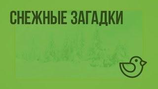 Снежные загадки. Видеоурок по окружающему миру 1 класс