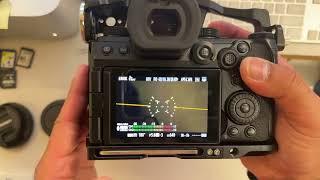 Panasonic S5iiX - Strengths and Weaknesses of Different Lenses