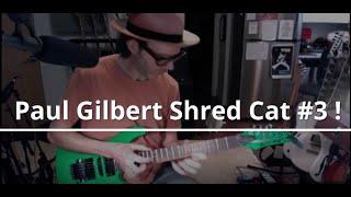 Paul Gilbert Xmas Shred Cat #3 | Xmas Shredding