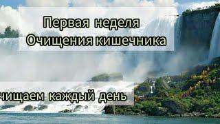 первая неделя Очищения кишечника схема Очищения каждый день т.е Пн, Вт,Ср,Чет,Пят, Субб,Воскр.