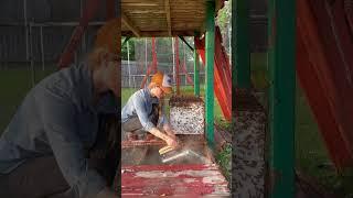 Helping A Huge Hive of Honeybees (Short Version)