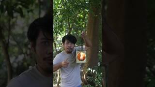 Survival skills: Smart Idea and Useful You Won't Believe Exists! #survival #lifehacks #bushcraft