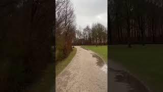 Relaxing walk in Innsbruker Ring Park - Munich - Germany  #shorts #munich  #walking