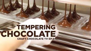 Tempering Chocolate - Episode 5 - Craft Chocolate TV