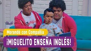 ¡Miguelito enseña inglés! - Morandé con Compañía 2018