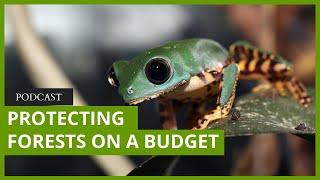 Mongabay Reports: Protecting forests on a budget? Here's how.