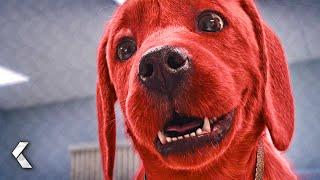 Riesenhund beim Tierarzt - CLIFFORD DER GROSSE ROTE HUND Clip & Trailer German Deutsch (2021)