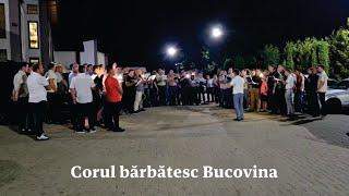 O ascultați - Corul bărbătesc Bucovina