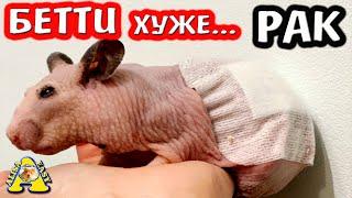 БЕТТИ - ХУЖЕ... / СПАСЕНИЕ лысого ХОМЯКА Бетти /  История спасения / Alisa Easy Pets